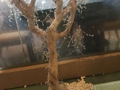 -上海浦东丽晟假日酒店-多瑙河全日餐厅