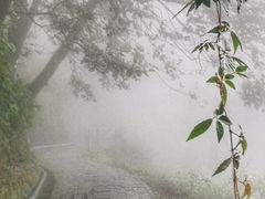 -苍山感通索道