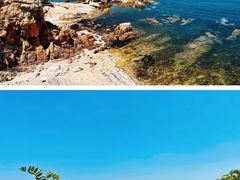 -养马岛旅游度假区