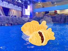 -水王国温泉水世界
