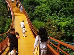 -少华山国家森林公园