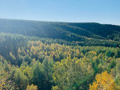 -塞罕坝国家级自然保护区