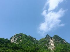 -陕西省红河谷森林公园