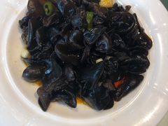 -半岛公馆(淞兴西路店)