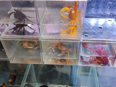 -三旗百汇商品城