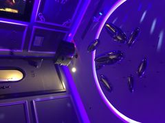 米乐星世界(汇智国际店)-米乐星世界KTV