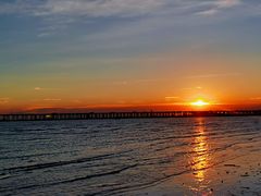 -宝安西湾红树林湿地公园