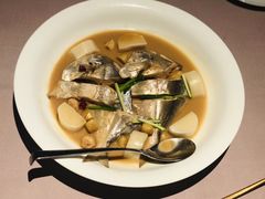 家烧鲳鱼-新荣记(BFC外滩金融中心店)
