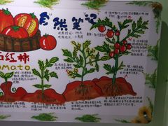 -上海昆虫博物馆