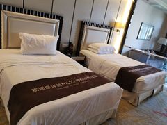 -碧桂园凤凰城酒店(南京店)