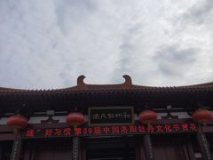-神州牡丹园
