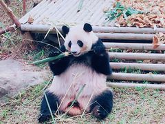 -南宁市动物园
