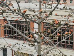 -陈李济中药博物馆