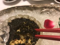 -西郊5号·Maggie 5
