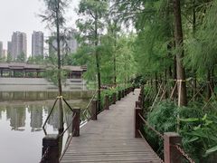 -重庆彩云湖湿地公园