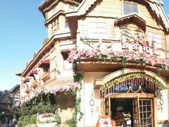 景点-郑州方特梦幻王国