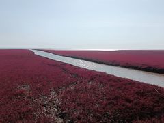 -红海滩国家风景廊道