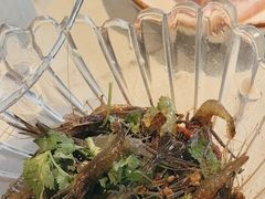 -花园茶楼(兴城西路店)