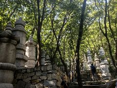 -天津盘山风景名胜区