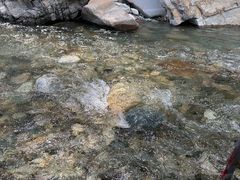 -虹口漂流