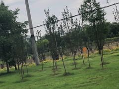 -上膳源有机农场