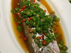 藤椒白鱼-绿茶餐厅(南昌王府井店)