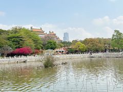 -顺峰山公园