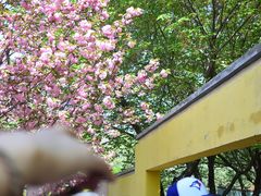 -郑州植物园