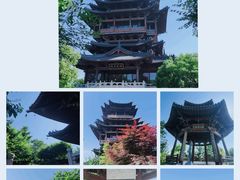 -杭州半山国家森林公园
