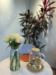 -YesYoga瑜伽普拉提塑形体雕馆