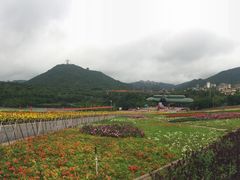 花田-东部华侨城
