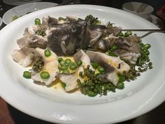 青青椒麻龙胆鱼-CHIC1699远洋私厨