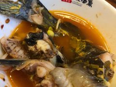 -老凯俚酸汤鱼(鸿通城店)