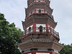 -中山公园(石岐街道)