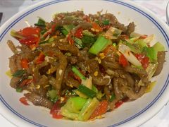 -壹盏灯(惠农店)