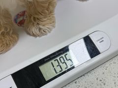 -天宠宠物医院24小时·急重症诊疗中心·全科·腔镜特色(和平分院)