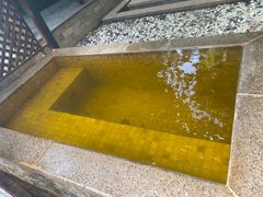 -春晖园度假酒店温泉