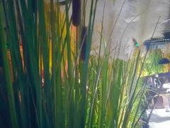 -味界·精致赣菜(招商花园城店)