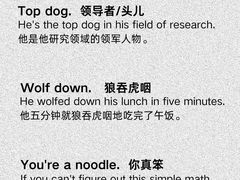 -EF教育成人英语(望京中心)