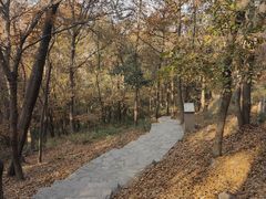 -南京市无想山景区