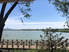 -野鸭湖国家湿地公园