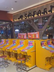 -卡通尼·Safari非洲探索乐园·生日会(金桥国际商业广场店)