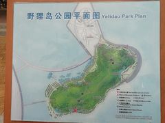 -野狸岛
