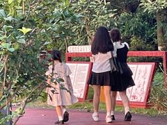-广西壮族自治区药用植物园