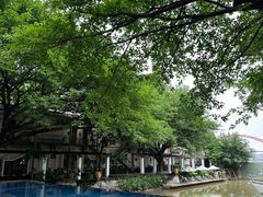-喜洲吧·江畔老船厂·庭院餐厅(喜临院店)