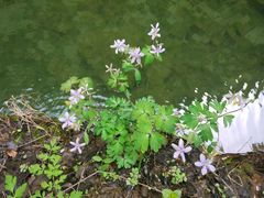 -山西通天峡景区