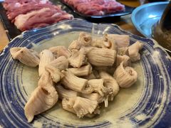 羊肚仁-金生隆(六铺炕店)