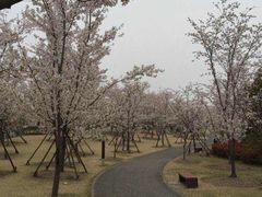 -松江清真寺