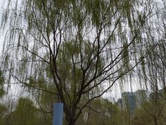 -长白岛森林公园