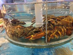 -汇丰苑·海鲜青岛菜(中山路大鲍岛店)
